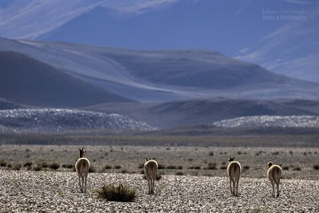 Ruta-Provincial-44_R5_5217