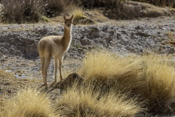 Ruta-Provincial-44_R5_5256