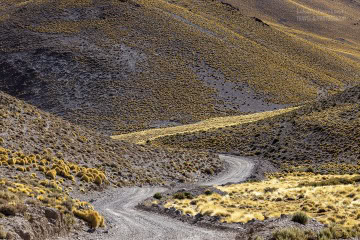 Ruta-Provincial-44_R5_5299