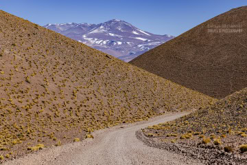 Ruta-Provincial-44_R5_5349