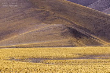 Ruta-Provincial-44_R5_5587