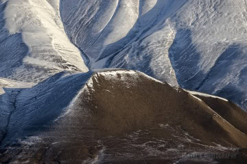 svalbard-_MG_1038