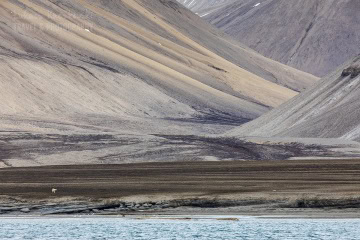 svalbard-_N5A0929