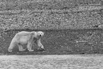 svalbard-_N5A0998