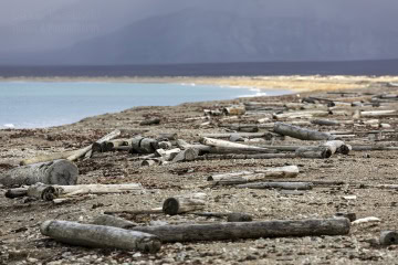 svalbard-_N5A9941