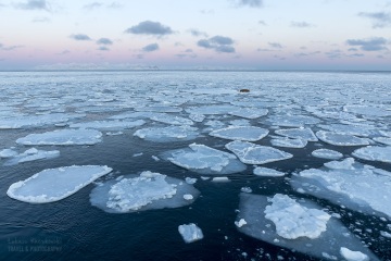 Svalbard-zwierzeta_A5A1108