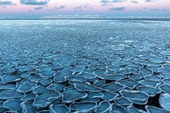 Spitsbergen 2022