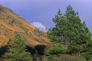 Szkocja-2011-02
