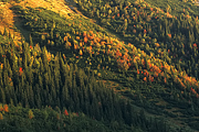 tatry-2006-12