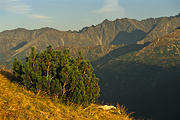 tatry-2006-14