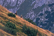 tatry-2011-07