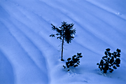 tatry-2012-04