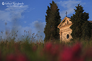 _MG_3545