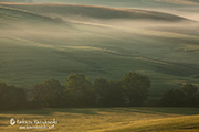 _MG_4051
