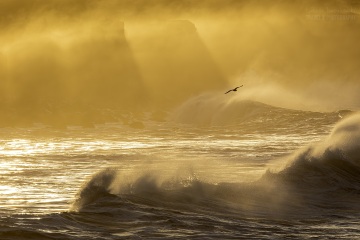 Valahnukur-Islandia_6C_8297 Valahnukur-Islandia_6C_8297