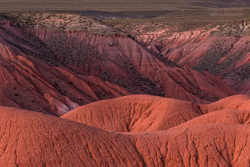 valle-de-la-luna-Argentyna_6C_4439