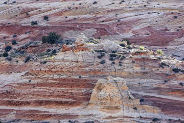 white-pocket-usa_6C_2046