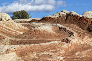 white-pocket-usa_6C_2079
