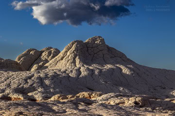 white-pocket-usa_6C_2118
