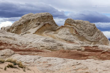 white-pocket-usa_R5_3160