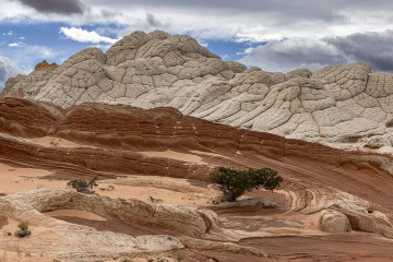 white-pocket-usa_R5_3190