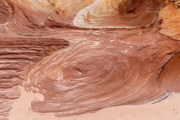 white-pocket-usa_R5_3328