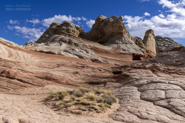 white-pocket-usa_R5_3419