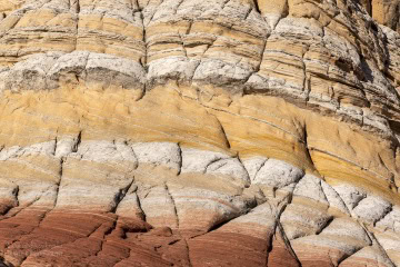 white-pocket-usa_R5_3452