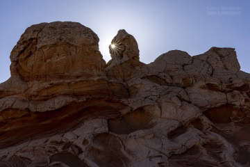 white-pocket-usa_R5_3479