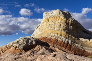 white-pocket-usa_R5_3526