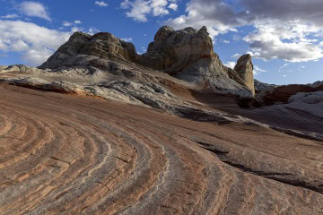 white-pocket-usa_R5_3562