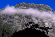 zelandia-2008-19