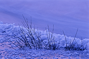 zima-2010-04