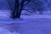 zima-2010-07