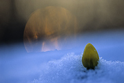 zima-2010-11