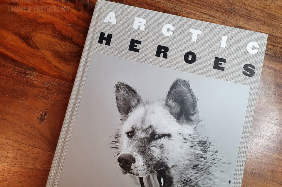 psy-arctic-heroes-Grenlandia