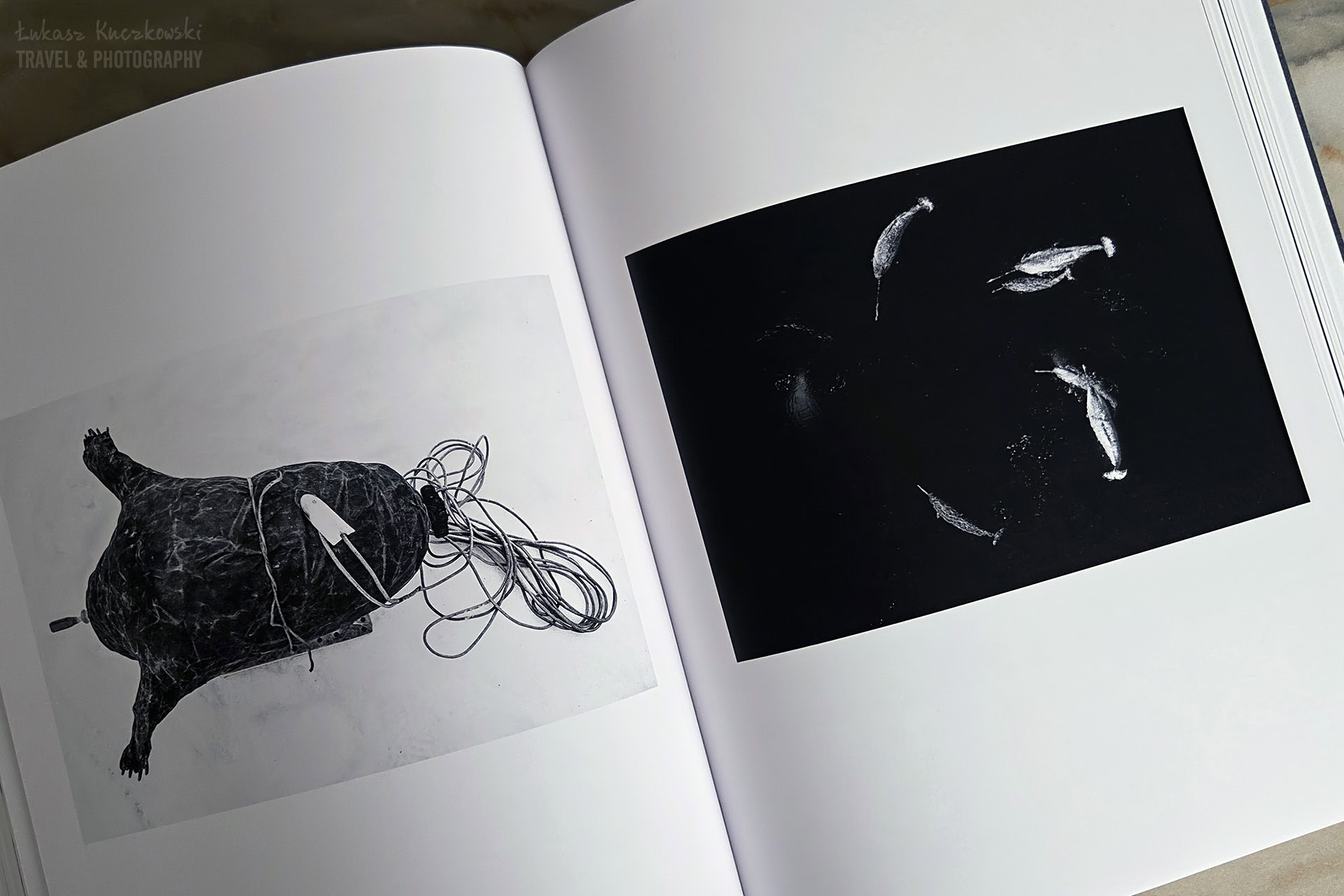 GREENLAND unseen Carsten Egevang