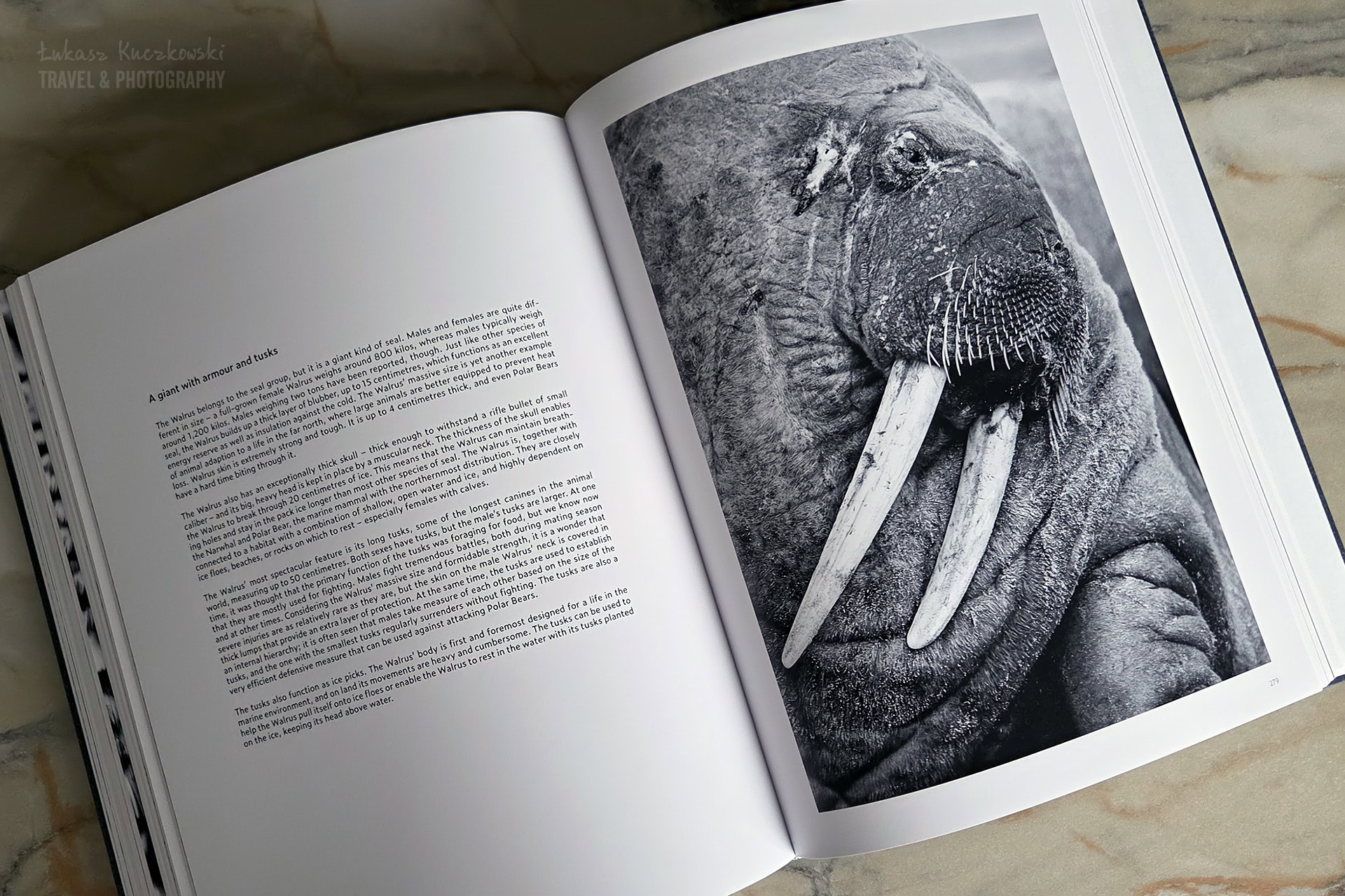 GREENLAND unseen Carsten Egevang